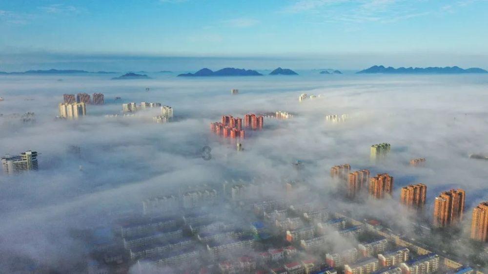 逗小猴开心系列205