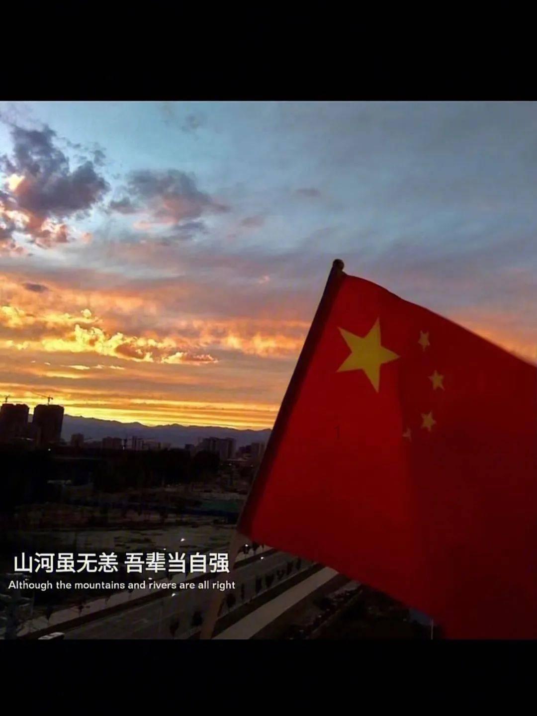 救援大嘴鸟