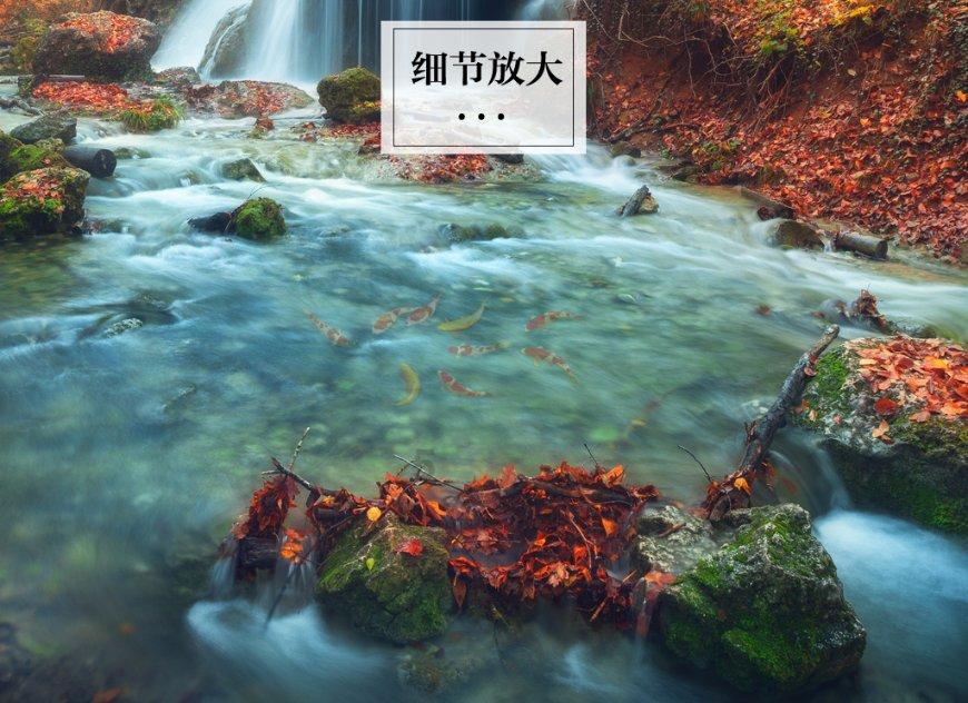 喜报！宁夏9个政务号获奖