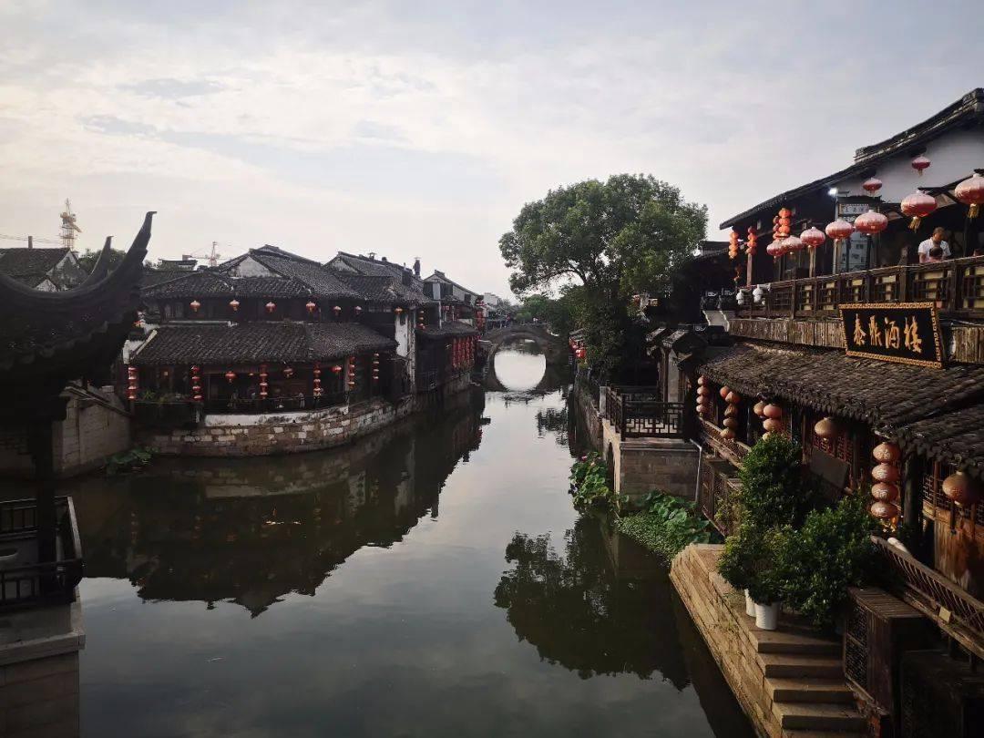 救援蓝色小兔